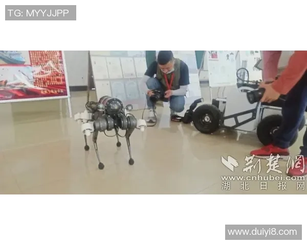 武汉街舞队的速度艺术探索与创新之路解析